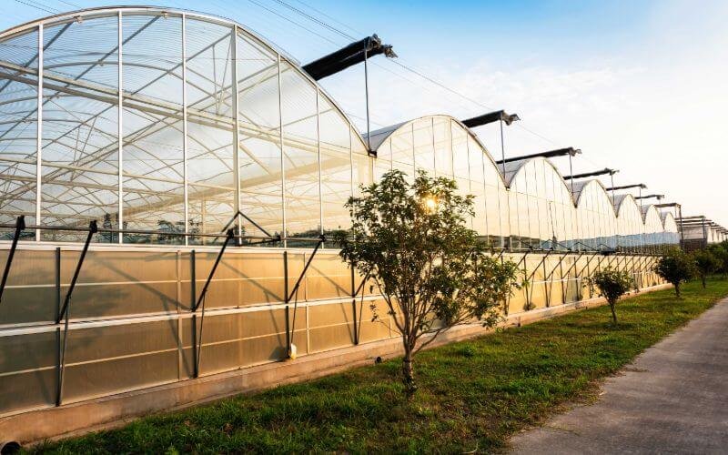 ¿El empañamiento te causa problemas? Déjanos aclarar tus dudas…